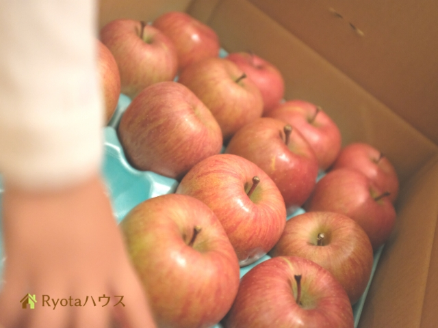 大当たり ふるさと納税のりんごっておいしい 10kgサンふじりんごが蜜たっぷりでお得 Ryotaマネー