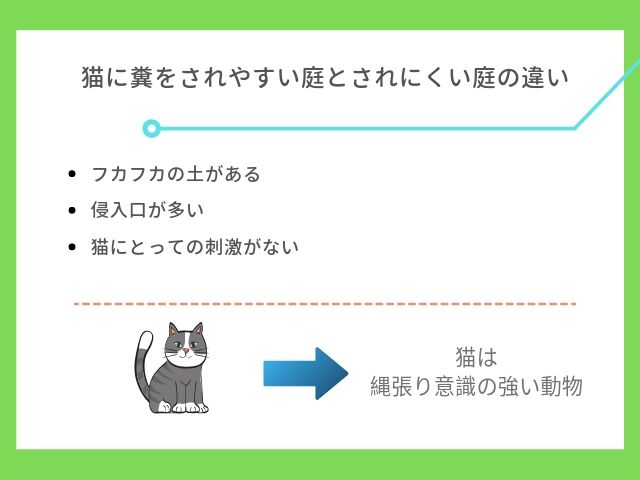 猫に糞をされやすい庭について